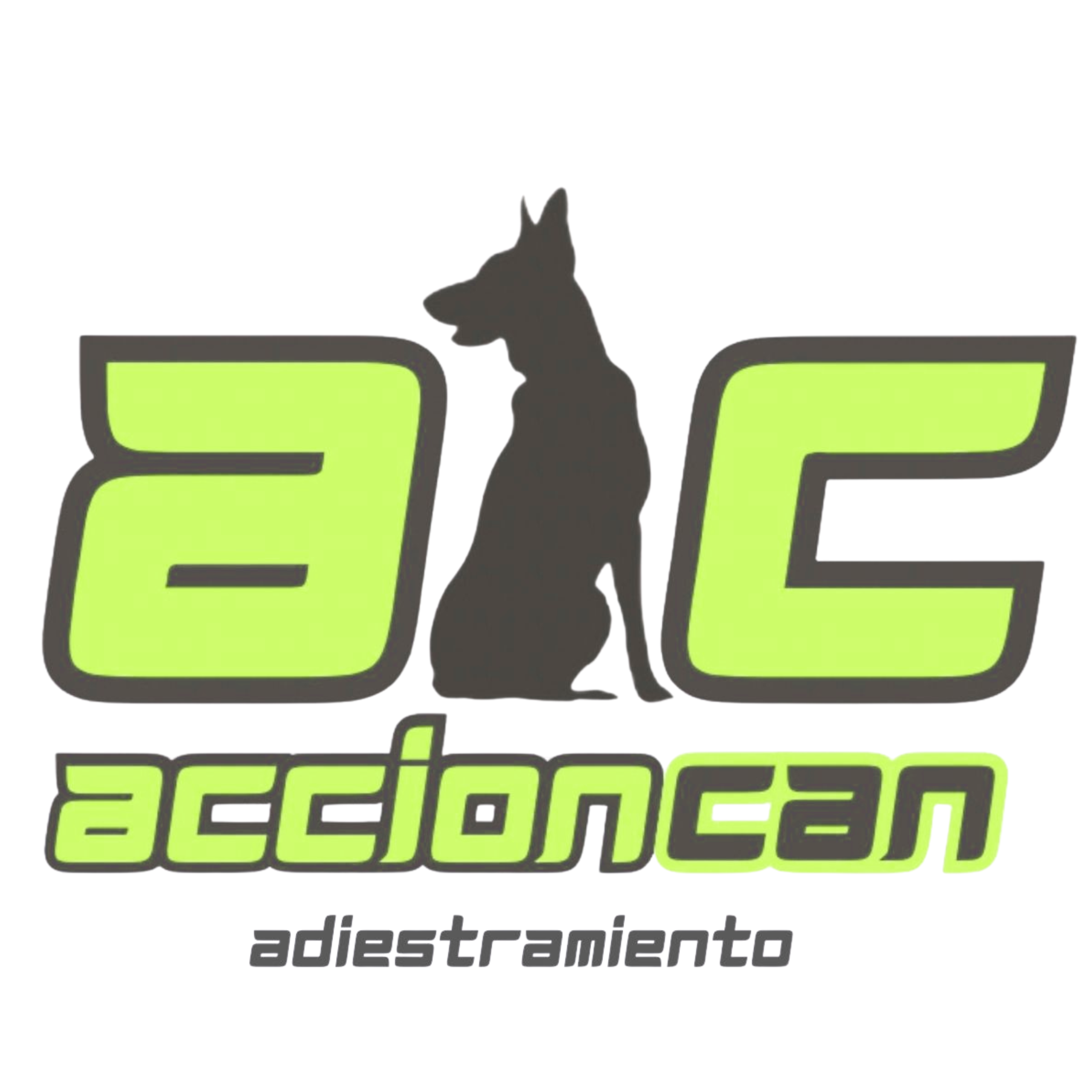 ACCIONCAN adiestramiento canino en Plasencia y Cáceres